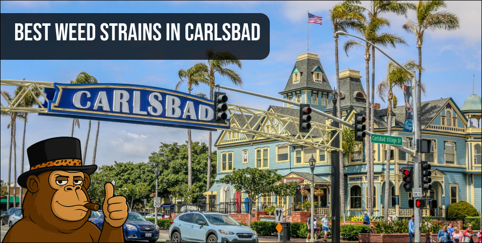 The iconic Carlsbad Village sign over a street with historic buildings, representing the local area for the best weed strains in Carlsbad.
