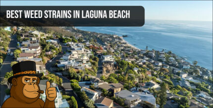 The iconic Carlsbad Village sign over a street with historic buildings, representing the local area for the best weed strains in Carlsbad.