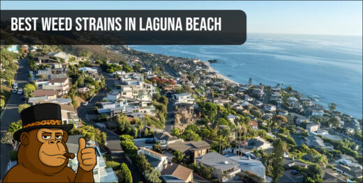 The iconic Carlsbad Village sign over a street with historic buildings, representing the local area for the best weed strains in Carlsbad.
