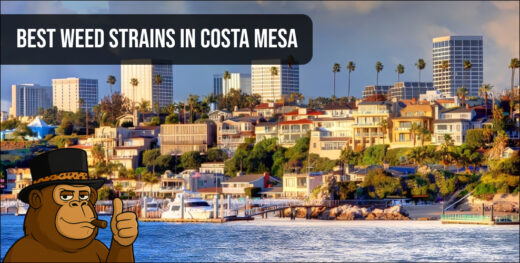 Scenic view of Costa Mesa skyline representing the local cannabis lifestyle and same-day weed delivery area.