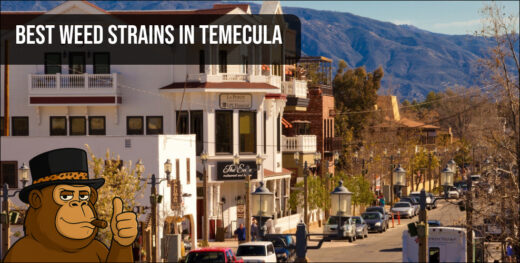 A scenic view of Old Town Temecula with a mountain backdrop, featuring a "Best Weed Strains in Temecula" banner.