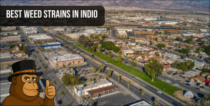 A scenic desert road in Indio, CA, under a clear sky with a "Best Weed Strains in Indio" banner and a gorilla mascot.