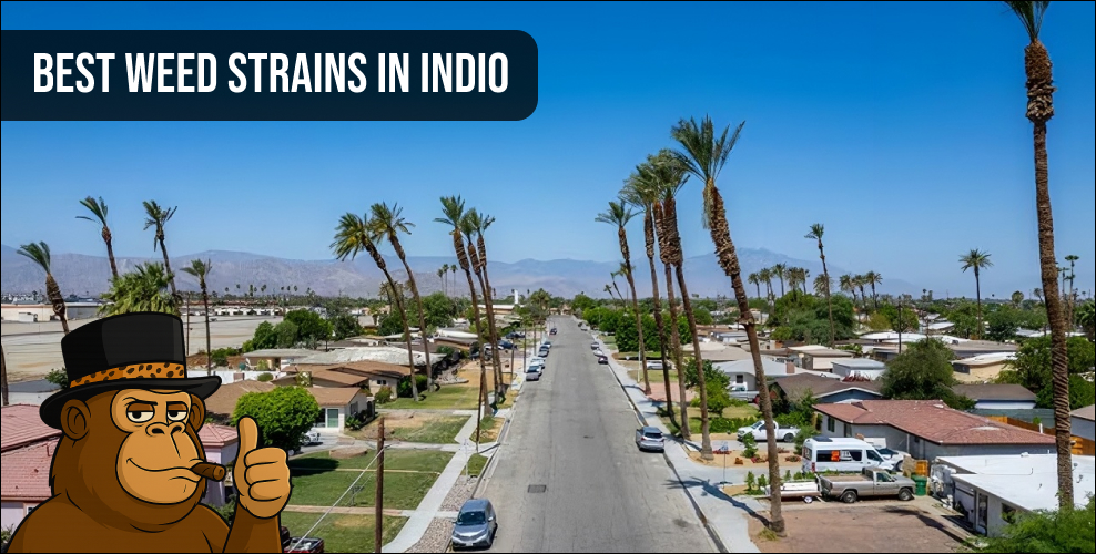A scenic view of an Indio neighborhood with palm trees representing the local California cannabis delivery area.