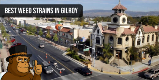 Aerial view of downtown Gilroy CA – best weed strains guide