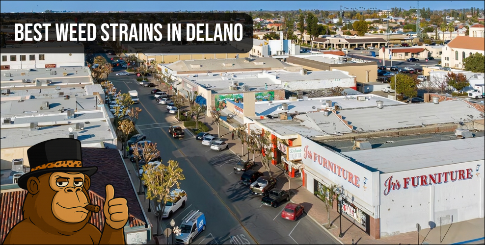 Panoramic view of downtown Delano showcasing a local community with access to same-day weed delivery services.