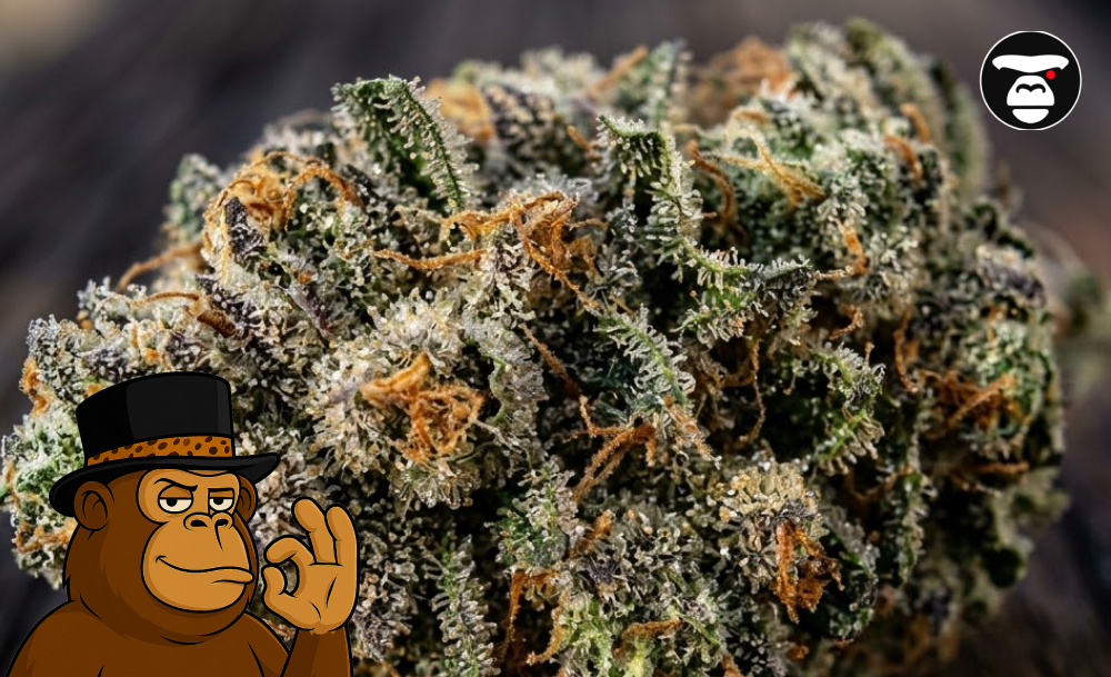 Best Weed Strains In Redondo Beach Best Weed Strains In Redondo Beach