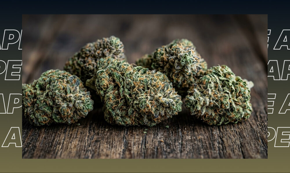 Best Weed Strains In Carlsbad Multiple dried cannabis flower nugs displayed on a wooden surface highlighting different strain varieties.