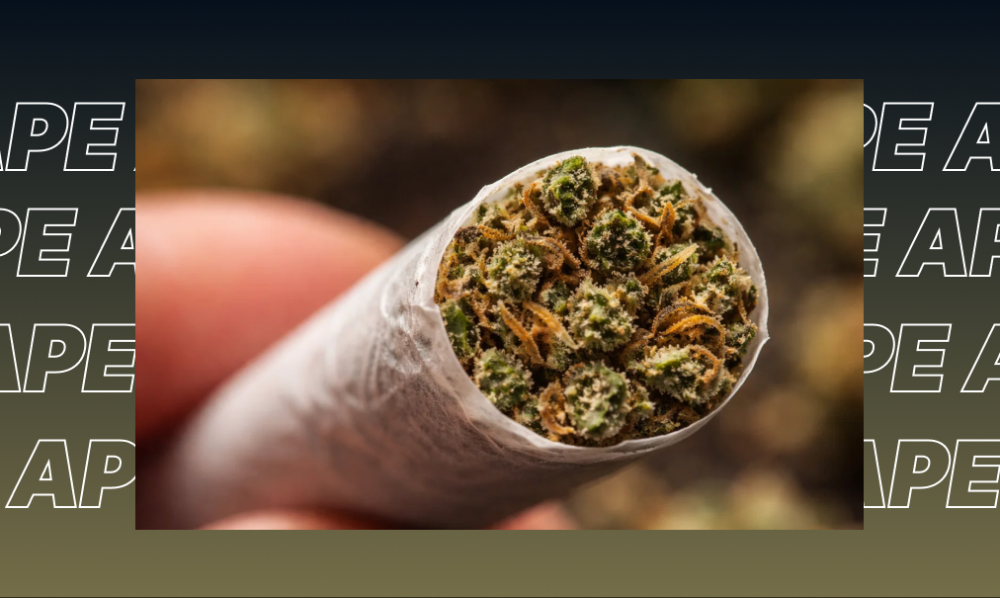 Best Weed Strains In San Ramon