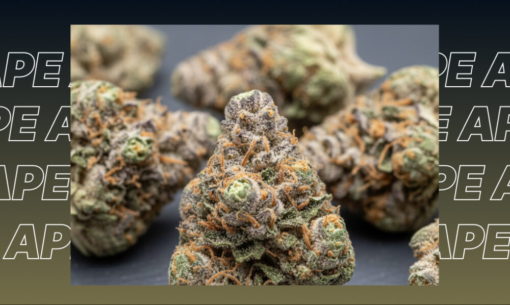 Best Weed Strains In Livermore Best Weed Strains In Livermore