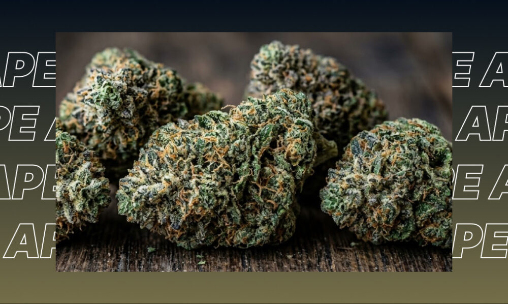 A pile of four densely packed green and orange cannabis buds with a heavy coat of white trichomes, resting on a dark wood grain surface.