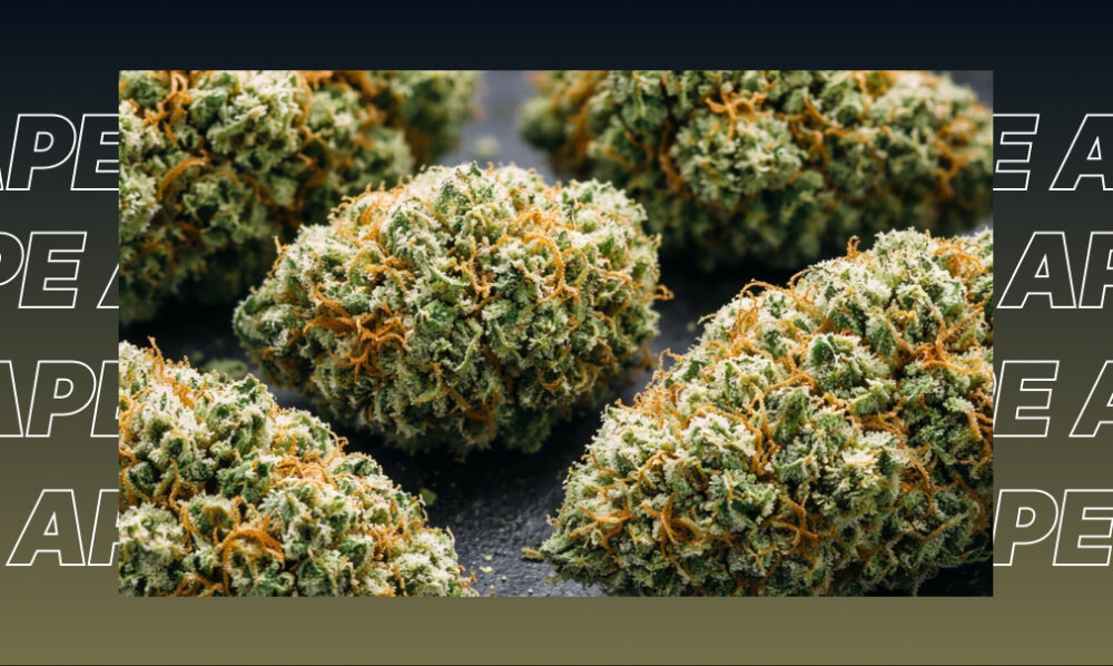 A close-up pile of several densely packed, cured cannabis buds. They are mostly bright green with fine orange pistils and heavily coated in trichomes, resting on a dark surface.