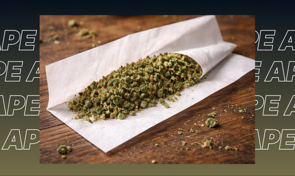 Three large, hand-trimmed cannabis buds with purple and green hues, representing the best weed strains in Chico.