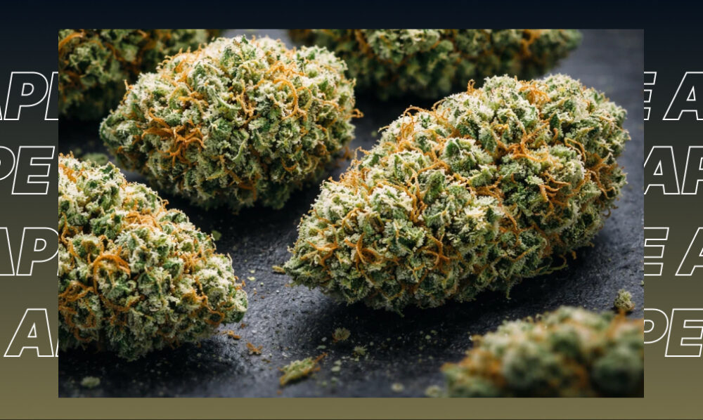 Three large, hand-trimmed cannabis buds with diverse colors and heavy resin, showcasing the best dispensary strains in Newport Beach.