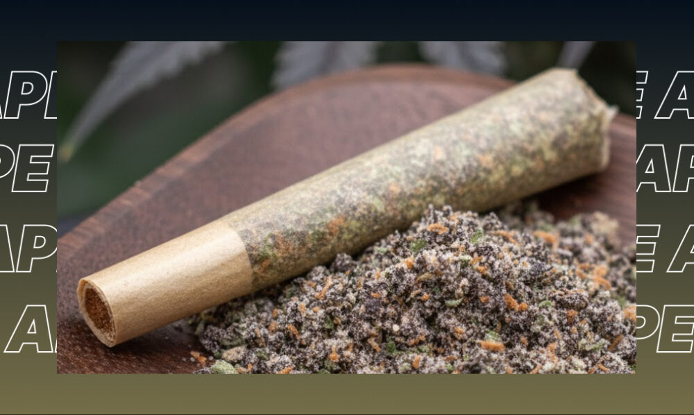 A hand-rolled cannabis joint resting on a pile of dark, terpene-rich kief and ground flower for the best weed strains in Carlsbad.