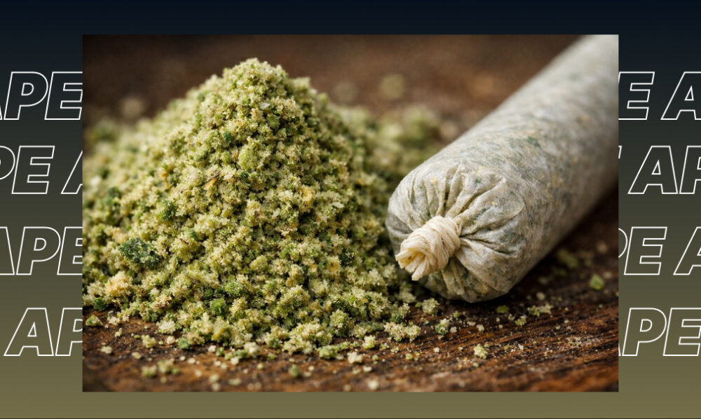 A hand-rolled cannabis joint resting on a pile of dark, terpene-rich kief and ground flower for the best weed strains in Carlsbad.