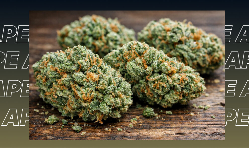 A pile of finely ground green cannabis flower on a dark wooden surface, showcasing texture and kief.