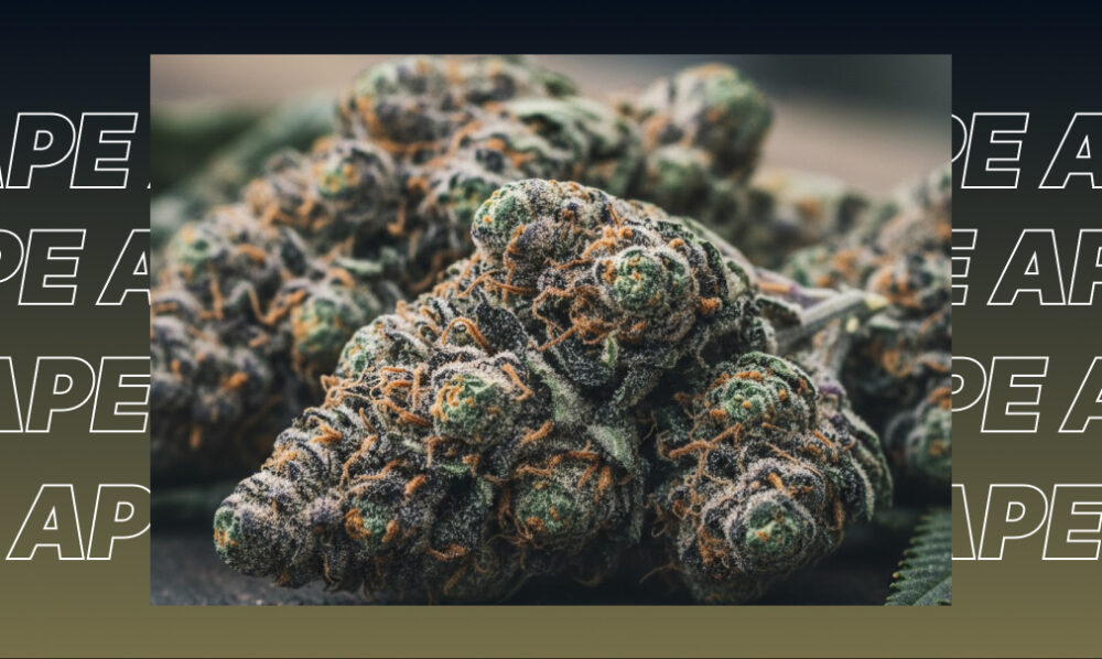 A pile of finely ground green cannabis flower on a dark wooden surface, highlighting its kief and resin content.
