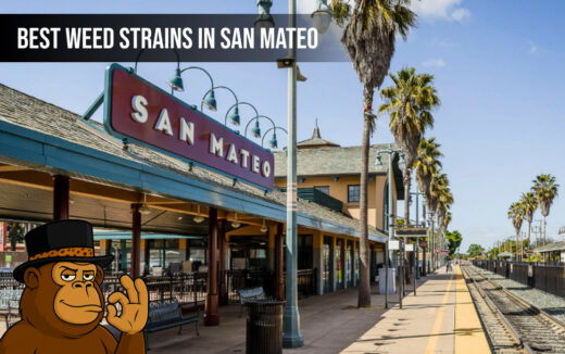 Best Weed Strains In San Mateo