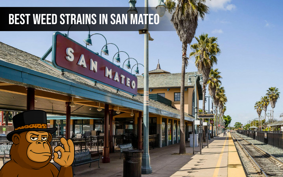 Best Weed Strains In San Mateo
