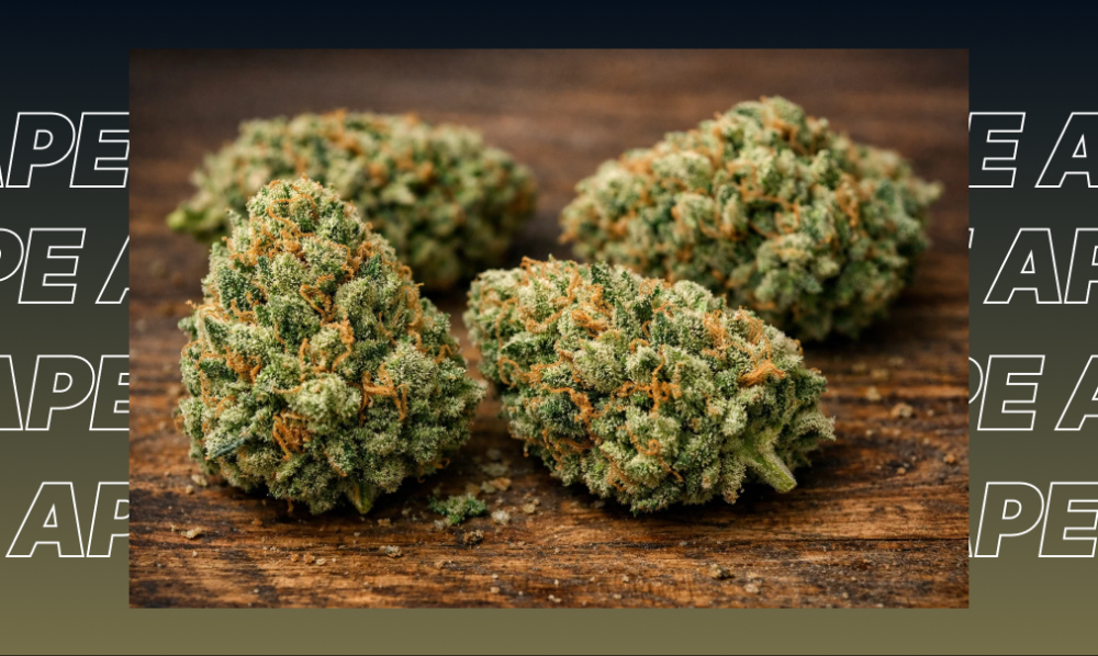 Best Weed Strains In Oroville Three large, hand-trimmed cannabis buds on a wooden surface, showcasing the variety of premium cannabis flower in Oroville.