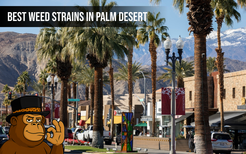 best weed strains In Palm Desert