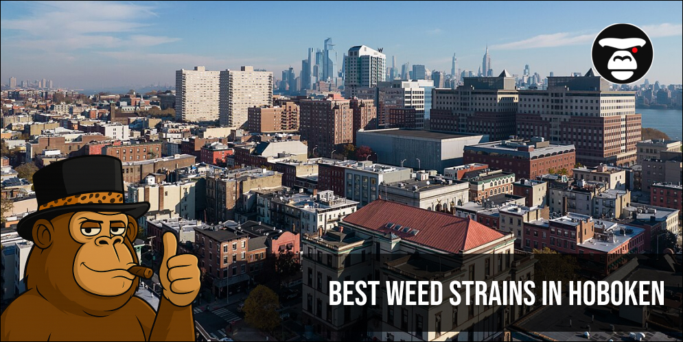 Best Weed Strains In Hoboken