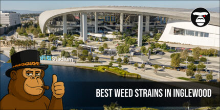 Best Weed Strains In Inglewood