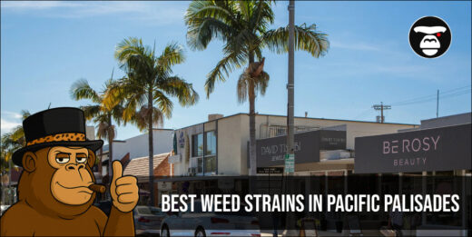 Best Weed Strains In Pacific Palisades