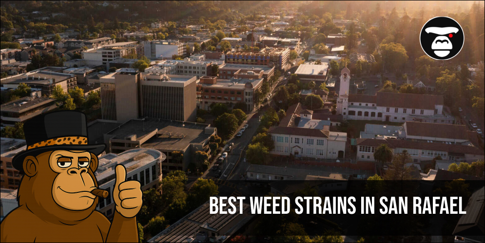 Best Weed Strains In San Rafael