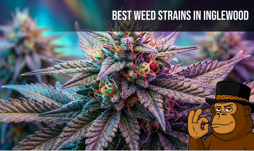 Best Weed Strains In Inglewood