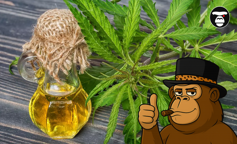 A small glass bottle of golden cannabis oil next to fresh hemp leaves.
