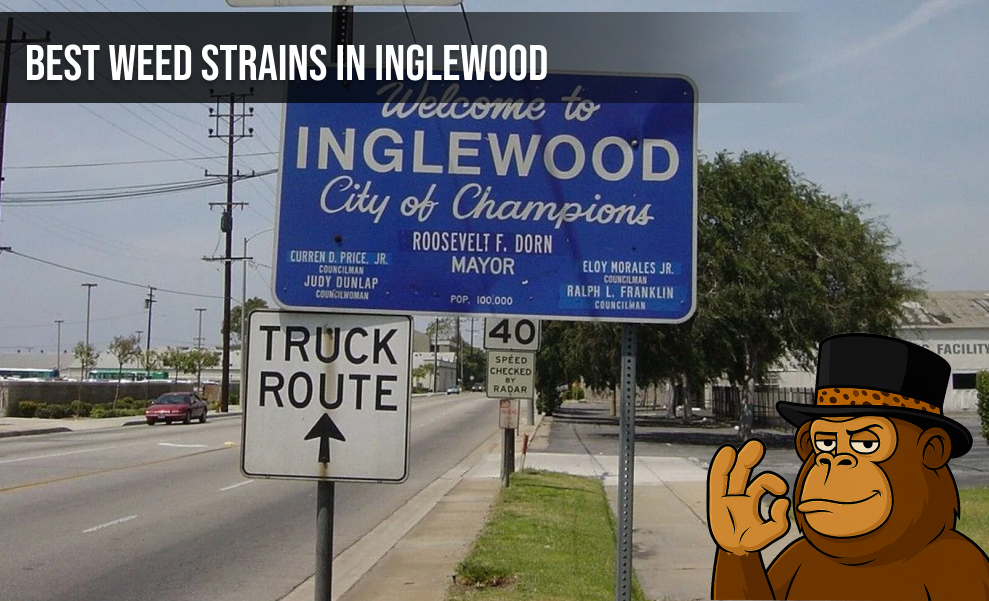 "Welcome to Inglewood City of Champions" road sign with a branded mascot overlay.