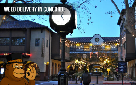 Weed delivery In Concord