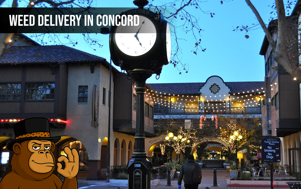 Weed delivery In Concord