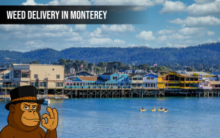 Weed delivery In Monterey