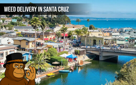 Weed delivery In Santa Cruz