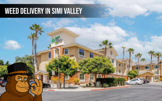 Weed delivery In Simi Valley