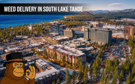 Weed delivery In South Lake Tahoe