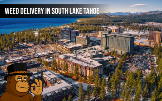 Weed delivery In South Lake Tahoe