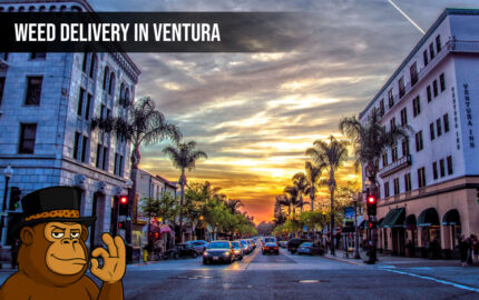 Weed delivery In Ventura